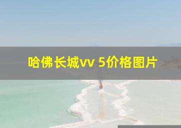 哈佛长城vv 5价格图片